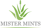 Mister Mints
